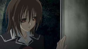 Vampire Knight